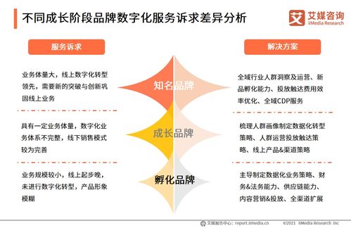 信息技術咨詢服務賦能品牌電商服務商 2021年行業洞察與發展趨勢