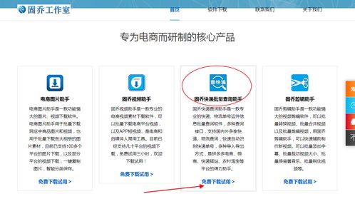 教你批量查詢快遞物流信息，一眼發(fā)現(xiàn)異常件——信息技術(shù)咨詢服務(wù)指南