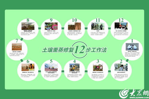 濰坊模式顯成效 全國(guó)首個(gè)生姜土壤熏蒸服務(wù)規(guī)范出爐，信息技術(shù)賦能農(nóng)業(yè)新篇章
